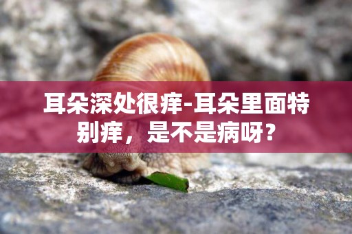 耳朵深處很癢-耳朵里面特別癢，是不是病呀？