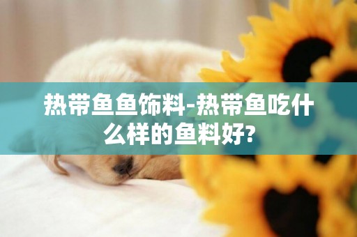 熱帶魚魚飾料-熱帶魚吃什么樣的魚料好?