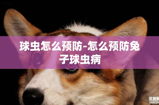 球蟲怎么預防-怎么預防兔子球蟲病
