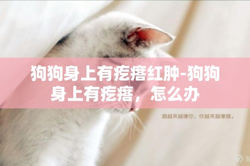 狗狗身上有疙瘩紅腫-狗狗身上有疙瘩，怎么辦