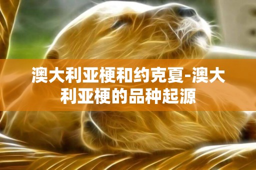 澳大利亞梗和約克夏-澳大利亞梗的品種起源