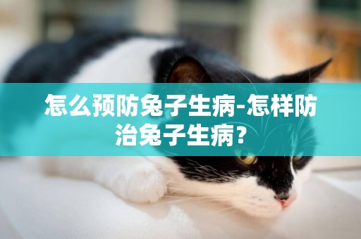怎么預防兔子生病-怎樣防治兔子生病？