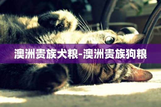 澳洲貴族犬糧-澳洲貴族狗糧