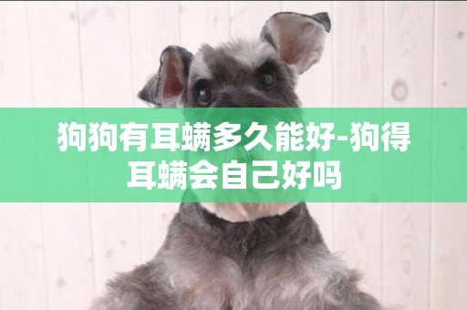 狗狗有耳螨多久能好-狗得耳螨會自己好嗎