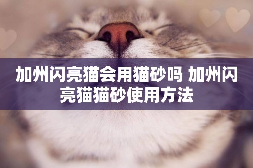 加州閃亮貓會用貓砂嗎 加州閃亮貓貓砂使用方法