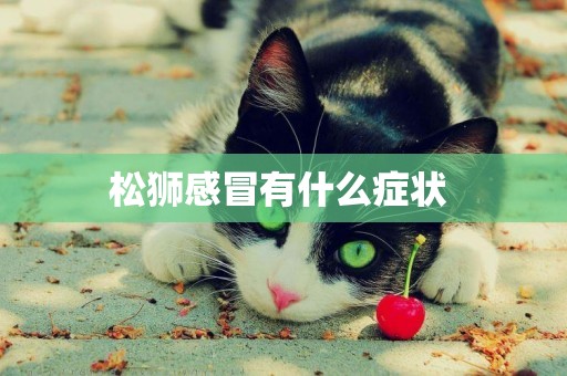 松獅感冒有什么癥狀 