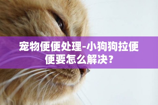 寵物便便處理-小狗狗拉便便要怎么解決？