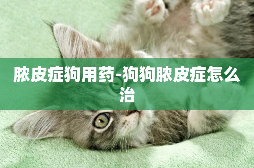 膿皮癥狗用藥-狗狗膿皮癥怎么治