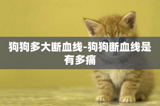 狗狗多大斷血線-狗狗斷血線是有多痛