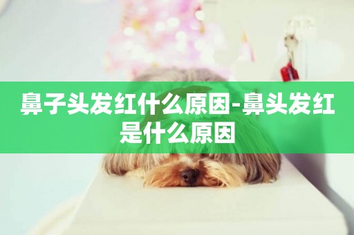 鼻子頭發紅什么原因-鼻頭發紅是什么原因
