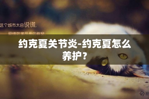 約克夏關節炎-約克夏怎么養護？