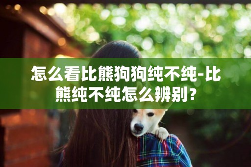 怎么看比熊狗狗純不純-比熊純不純怎么辨別？