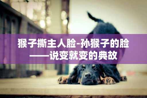 猴子撕主人臉-孫猴子的臉——說變就變的典故