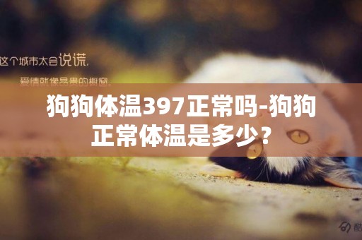 狗狗體溫397正常嗎-狗狗正常體溫是多少？
