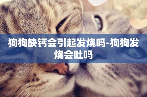 狗狗缺鈣會引起發燒嗎-狗狗發燒會吐嗎