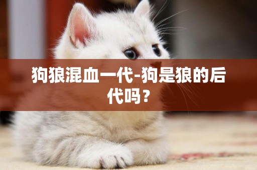 狗狼混血一代-狗是狼的后代嗎？