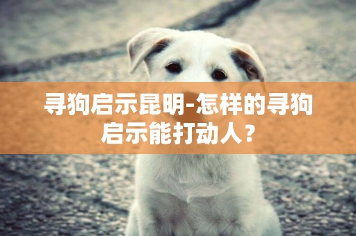 尋狗啟示昆明-怎樣的尋狗啟示能打動人？