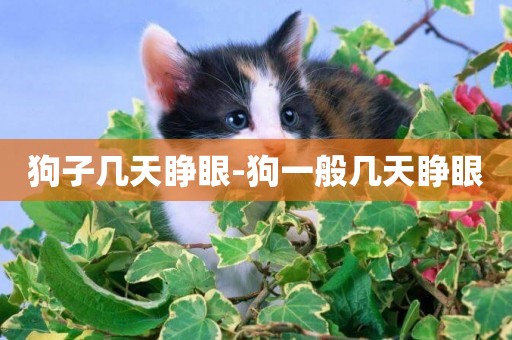 狗子幾天睜眼-狗一般幾天睜眼