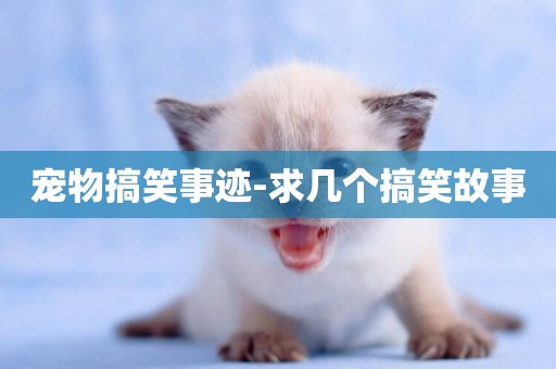 寵物搞笑事跡-求幾個搞笑故事