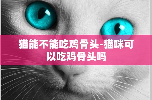 貓能不能吃雞骨頭-貓咪可以吃雞骨頭嗎