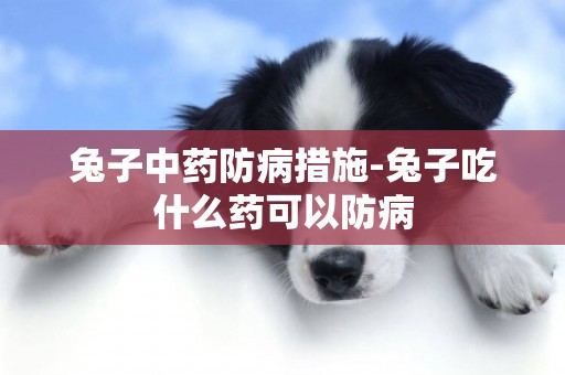 兔子中藥防病措施-兔子吃什么藥可以防病