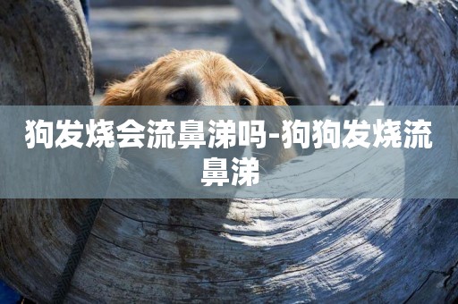 狗發燒會流鼻涕嗎-狗狗發燒流鼻涕