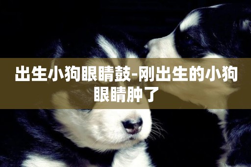 出生小狗眼睛鼓-剛出生的小狗眼睛腫了