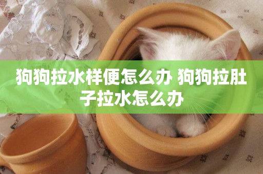 狗狗拉水樣便怎么辦 狗狗拉肚子拉水怎么辦