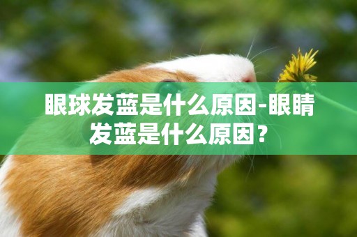 眼球發藍是什么原因-眼睛發藍是什么原因？