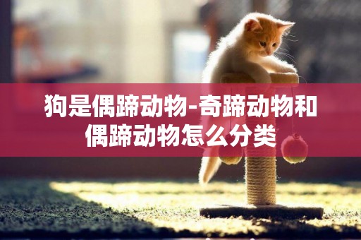 狗是偶蹄動物-奇蹄動物和偶蹄動物怎么分類