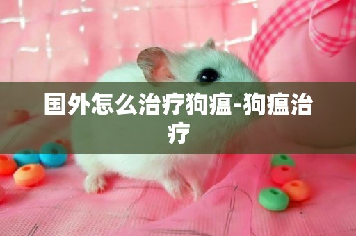 國外怎么治療狗瘟-狗瘟治療