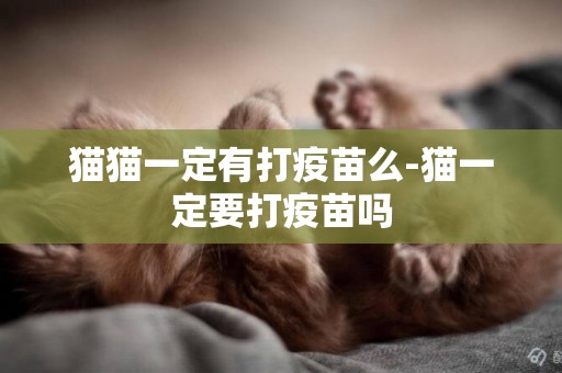 貓貓一定有打疫苗么-貓一定要打疫苗嗎