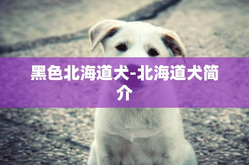 黑色北海道犬-北海道犬簡介