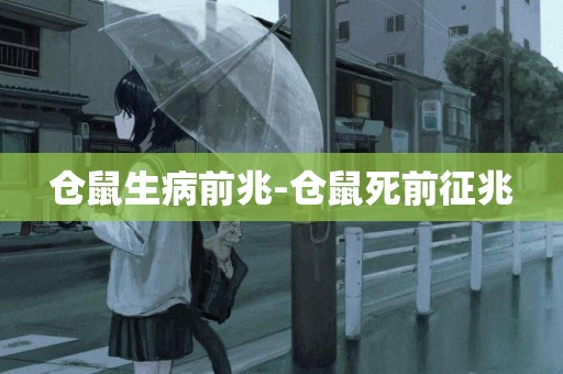 倉鼠生病前兆-倉鼠死前征兆
