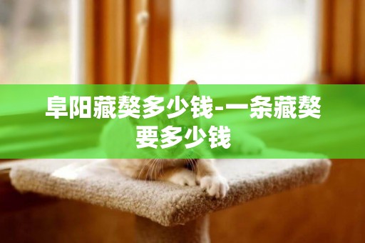 阜陽藏獒多少錢-一條藏獒要多少錢