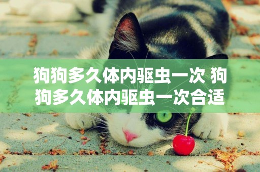 狗狗多久體內驅蟲一次 狗狗多久體內驅蟲一次合適