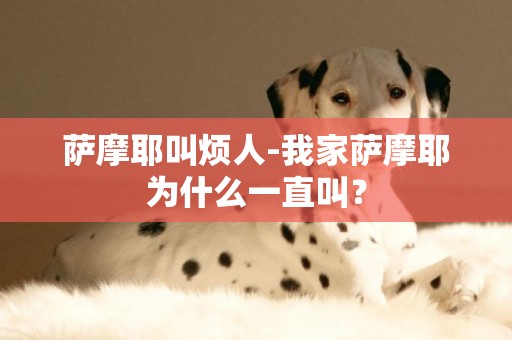 薩摩耶叫煩人-我家薩摩耶為什么一直叫？
