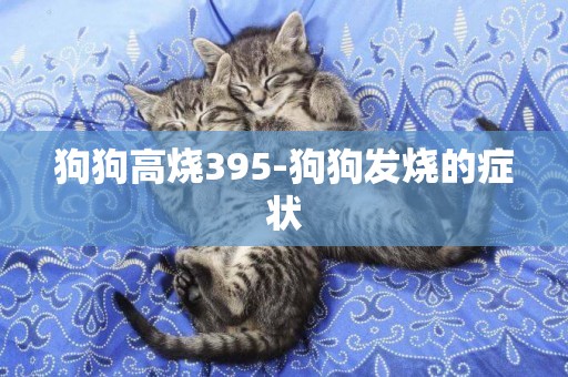狗狗高燒395-狗狗發燒的癥狀