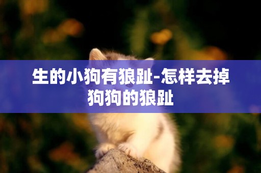 生的小狗有狼趾-怎樣去掉狗狗的狼趾