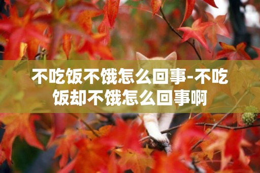 不吃飯不餓怎么回事-不吃飯卻不餓怎么回事啊