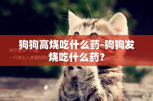 狗狗高燒吃什么藥-狗狗發燒吃什么藥？