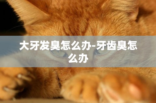 大牙發臭怎么辦-牙齒臭怎么辦