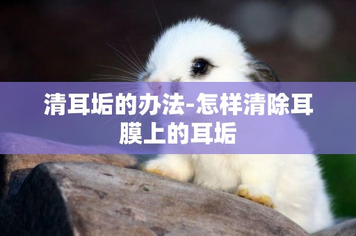 清耳垢的辦法-怎樣清除耳膜上的耳垢