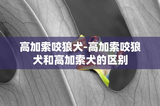 高加索咬狼犬-高加索咬狼犬和高加索犬的區別