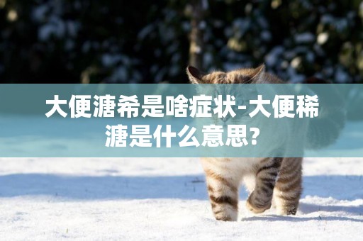 大便溏希是啥癥狀-大便稀溏是什么意思?