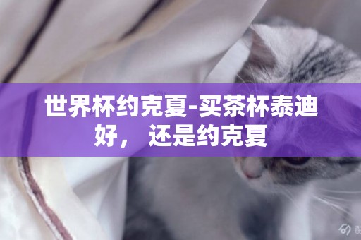 世界杯約克夏-買茶杯泰迪好， 還是約克夏