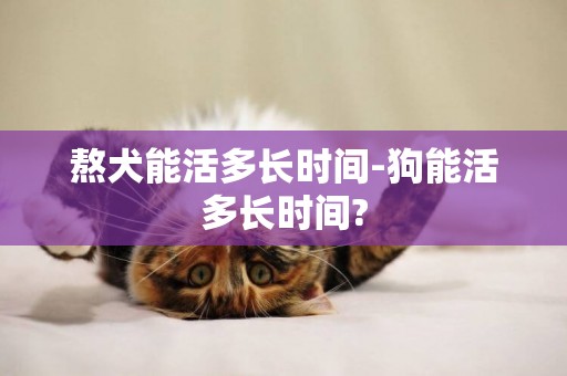 熬犬能活多長時間-狗能活多長時間?