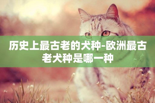 歷史上最古老的犬種-歐洲最古老犬種是哪一種
