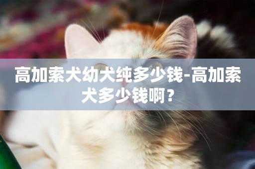 高加索犬幼犬純多少錢-高加索犬多少錢啊？