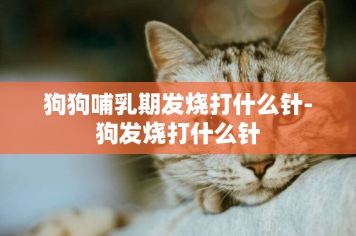 狗狗哺乳期發燒打什么針-狗發燒打什么針